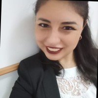 Ana Beatriz Ortiz Silva