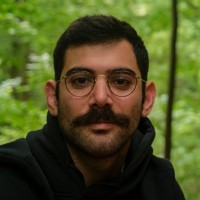 Tom Shaked
