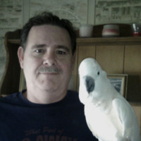 Richard Stoufer Jr.
