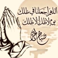 صلاح الرشيدي