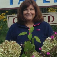 Luanne Scott