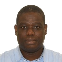 olumide ogunleye