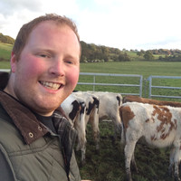 David Bostock