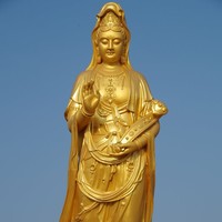陈维治