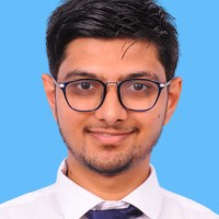 Krishna Rajput
