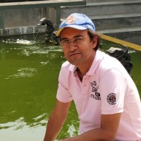 Ashish Jain