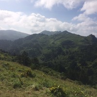 刘言哲