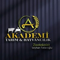 SEYHAN TATAROĞLU
