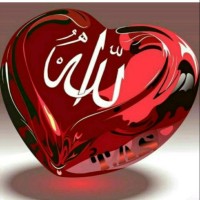 هادی موسوی