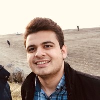 Amir Partovi