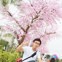 Quoc Viet