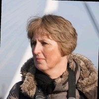 Sietske Feenstra