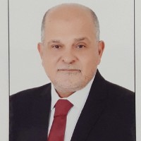 Mamdouh Elhenawy