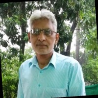 Saqib Q.