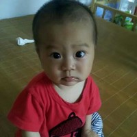 柳小红