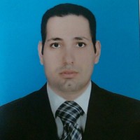 Romany Abdel Malak
