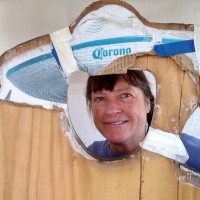 Cheryl Lynn Johnson