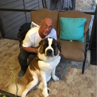 Lou Fiore