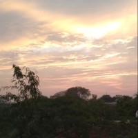 Manoj Chaudhary