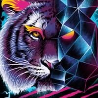 TIGER ZHAO