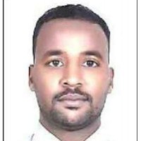 Hosamaldeen Hamd