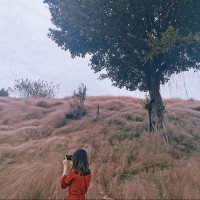 麦敏青