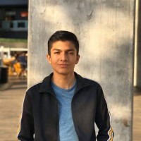 isi arian