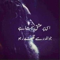 Mehtab Haider