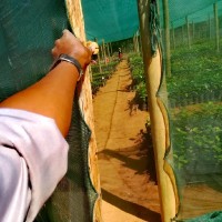 Ezequiel Germano Tissa