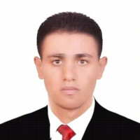Amr Alrouby