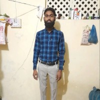Habib Ansari
