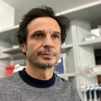 Federico J Gonzalez Grassi