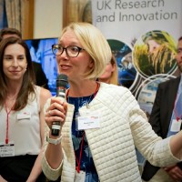 Hannah Collins