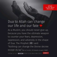 Abdulrasheed abdulmajeed