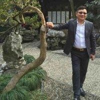 刘晓军