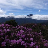 范道明