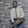 Akinyemi Ayorinde Akindele