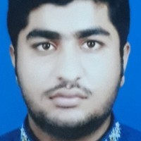 Muhammad Hamza Jamil