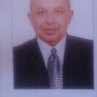 Mohamed Elzarka