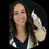 Federica Ardizzone