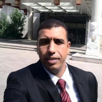 Sayed Abdou Mohamed