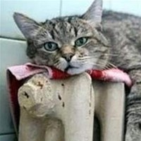 Сергей Мищенко