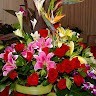 Sonu Batham