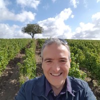 julien Bard