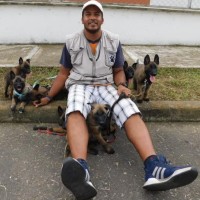 Wardogs Colombia