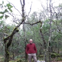 Manuel Reis