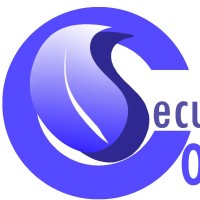 Comse Cibersecurity