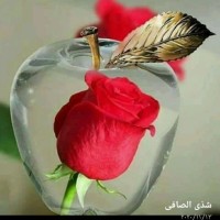 EBRAHIM His c