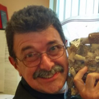 Vincent Attardi
