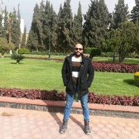 Ahmed Zewil